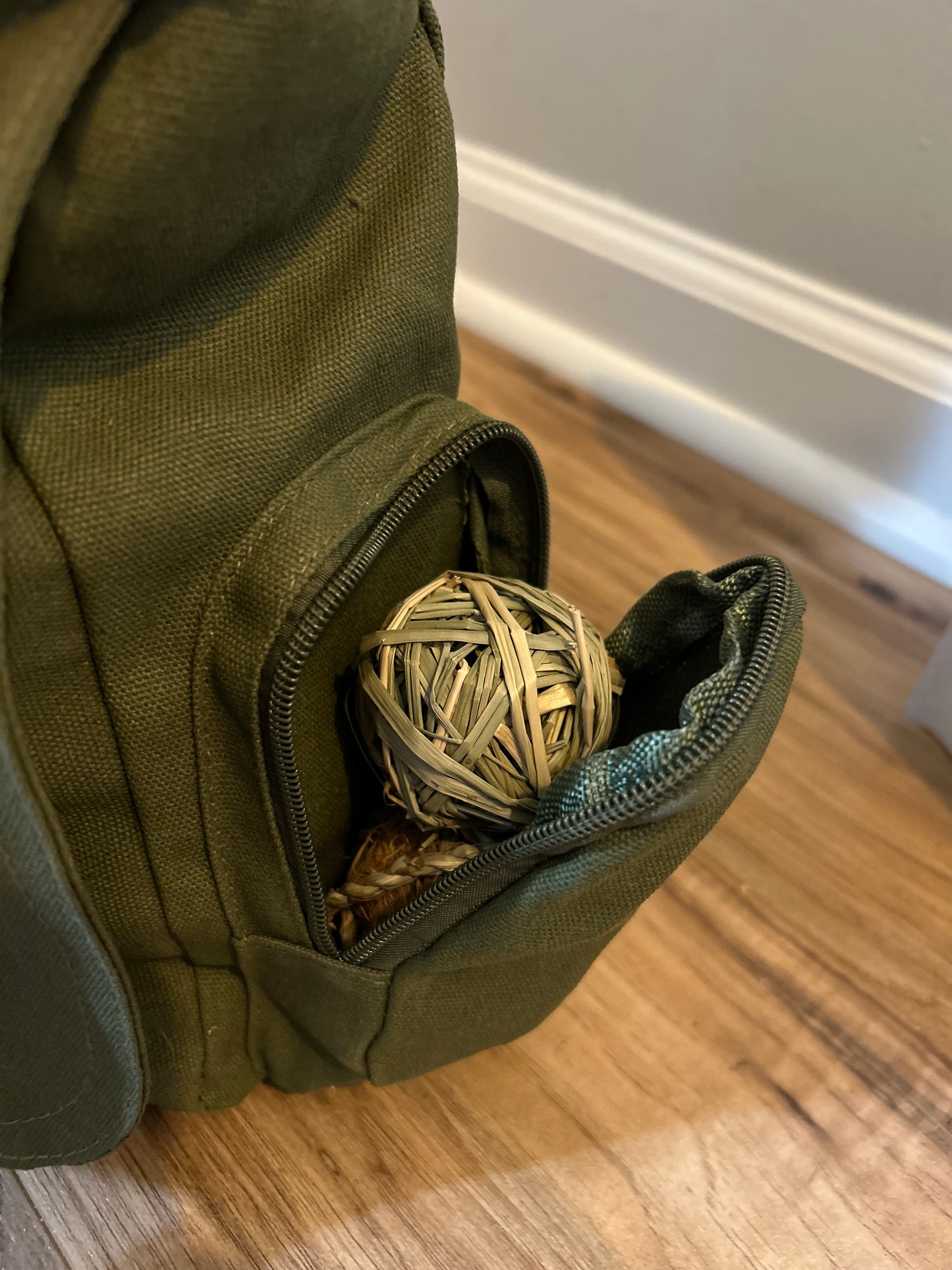Emergency Bunny Go-Bag 🎟️ RAFFLE TICKETS