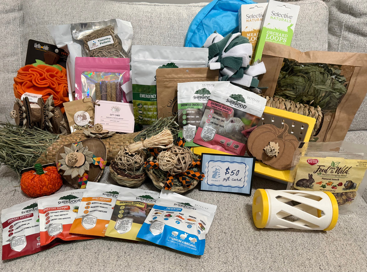 Fall Bunny Basket